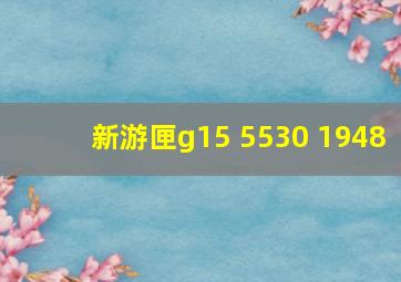 新游匣g15 5530 1948